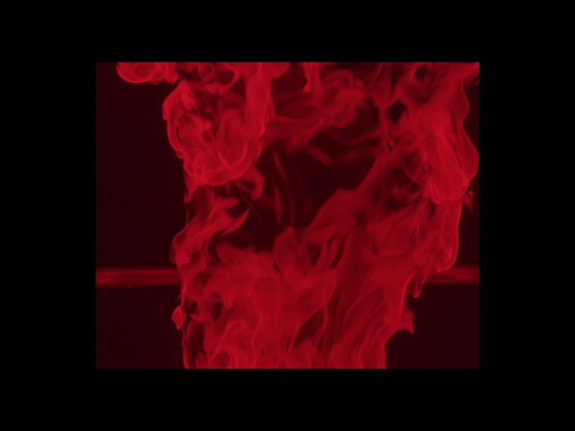 Video Reference: Petal, Font, Tints and shades, Magenta, Event, Art, Electric blue, Graphics, Pattern, Carmine