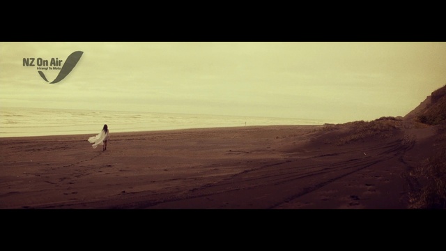 Video Reference: Water, Sky, Wood, Beach, People in nature, Tree, Landscape, Happy, Horizon, Tints and shades