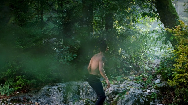 Video Reference: Plant, People in nature, Natural environment, Shorts, Branch, Tree, Natural landscape, Sunlight, Wood, Terrestrial plant
