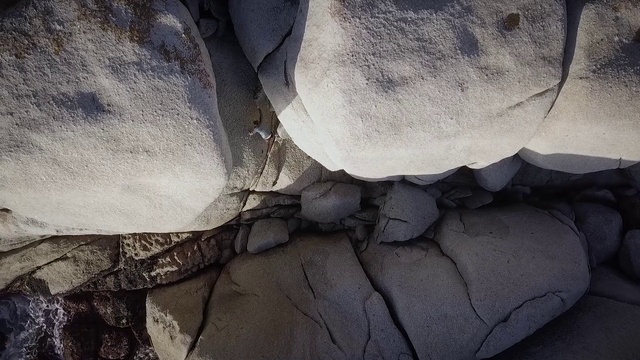 Video Reference: Branch, Textile, Organism, Grey, Wood, Style, Petal, Tints and shades, Geological phenomenon, Automotive tire