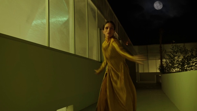 Video Reference: Flash photography, Plant, Art, Fashion design, Tints and shades, Event, Visual arts, Room, Fun, Flooring