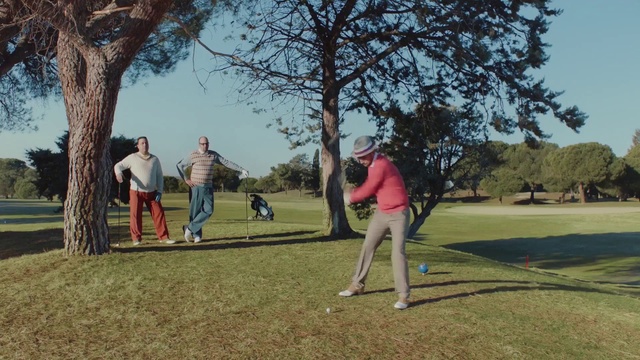 Video Reference: Plant, Sky, Tree, People in nature, Grass, Grassland, Leisure, Golf equipment, Happy, Recreation