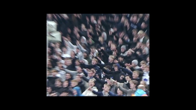 Video Reference: Flash photography, Gesture, Petal, Plant, Font, Electric blue, Event, Pattern, Darkness, Entertainment