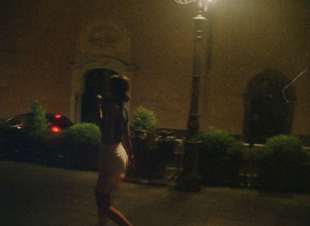 Video Reference: Plant, Street light, Flash photography, Atmospheric phenomenon, Public space, Midnight, Tints and shades, Road surface, Darkness, Security lighting