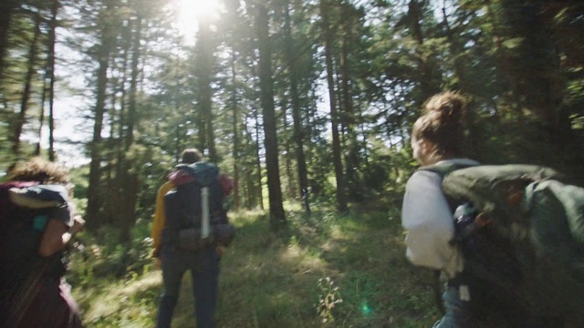 Video Reference: Plant, Plant community, People in nature, Natural landscape, Luggage and bags, Tree, Outdoor recreation, Bag, Backpack, Woody plant