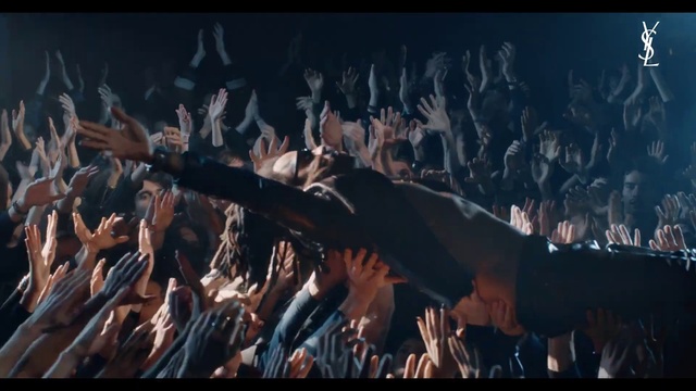 Video Reference: Bird, World, Beak, Organism, Font, Wing, Animal migration, Bat, Bird migration, Feather