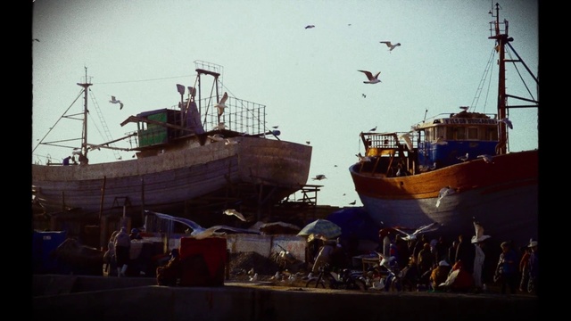 Video Reference: Sky, Boat, Watercraft, Naval architecture, Bird, Vehicle, Ship, Harbor, Water transportation, Port