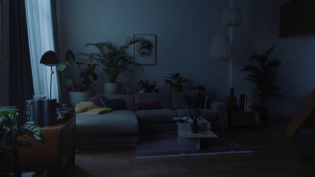 Video Reference: Plant, Building, Picture frame, Couch, Houseplant, Comfort, Flowerpot, Interior design, Lamp, Grey