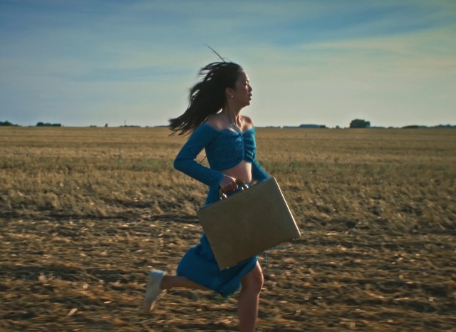 Video Reference: Sky, Cloud, People in nature, Flash photography, Happy, Waist, Sunlight, Grass, Knee, Travel