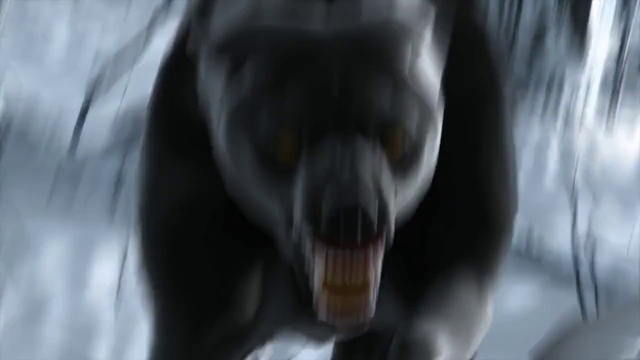 Video Reference: Dog, Carnivore, Jaw, Dog breed, Terrestrial animal, Snout, Whiskers, Working animal, Darkness, Plant