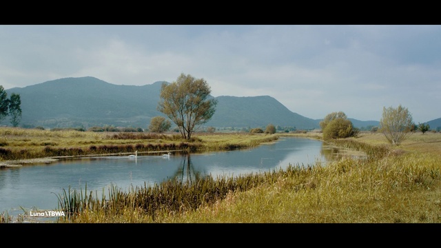 Video Reference: Water, Cloud, Plant, Sky, Mountain, Water resources, Natural landscape, Tree, Highland, Lake