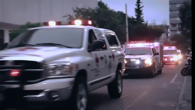 Video Reference: Tire, Wheel, Car, Land vehicle, Vehicle, Window, Motor vehicle, Automotive lighting, Vehicle registration plate, Plant