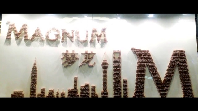Video Reference: Plant, World, Font, Water, Rectangle, Event, Symmetry, Sky, Tree, Skyscraper