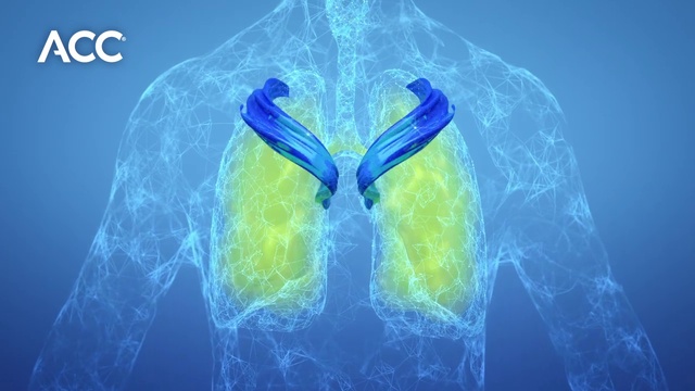 Video Reference: Plant, Mythical creature, Azure, Human body, Organism, Gesture, Petal, Font, Aqua, Feather