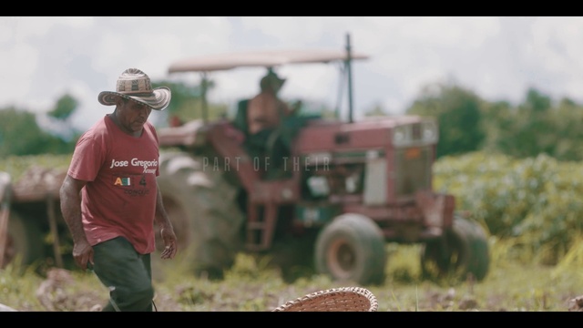 Video Reference: Wheel, Tire, Vehicle, Motor vehicle, Automotive tire, Plant, Hat, Agricultural machinery, Grass, Sun hat