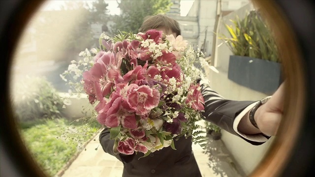 Video Reference: Flower, Plant, Petal, Flowerpot, Yellow, Pink, Grass, Hybrid tea rose, Wedding ceremony supply, Rose