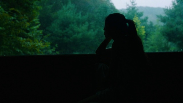 Video Reference: Atmosphere, Sky, Flash photography, Branch, Tree, Grass, People in nature, Hat, Tints and shades, Landscape
