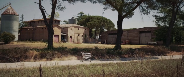 Video Reference: Plant, Sky, Building, Tree, Architecture, Land lot, Window, Grass, Shade, Residential area