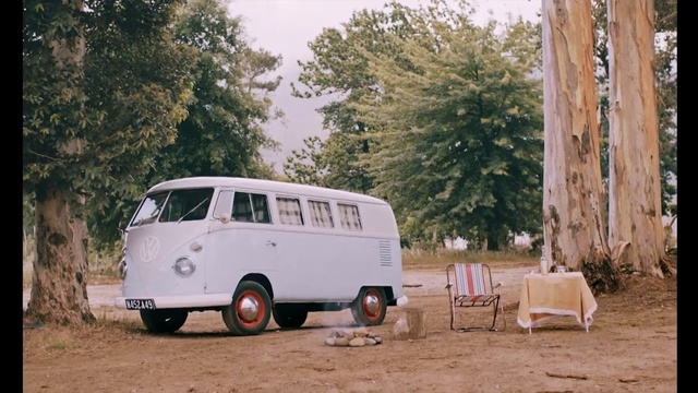 Video Reference: Tire, Wheel, Vehicle, Plant, Motor vehicle, Window, Automotive lighting, Volkswagen type 2, Sky, Car