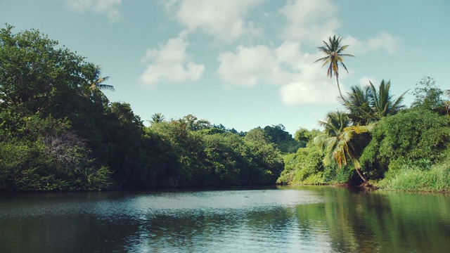 Video Reference: Water, Cloud, Sky, Plant community, Natural landscape, Lake, Fluvial landforms of streams, Tree, Plant, Coastal and oceanic landforms