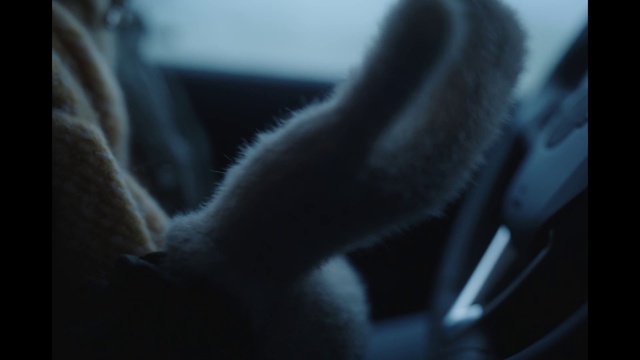 Video Reference: Window, Automotive mirror, Gesture, Steering wheel, Tints and shades, Personal luxury car, Vehicle door, Plant, Auto part, Electric blue