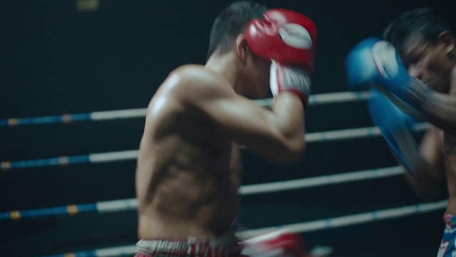 Video Reference: Shorts, Sports uniform, Arm, Glove, Muscle, Human body, Combat sport, Boxing glove, Striking combat sports, Strike