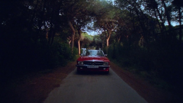 Video Reference: Vehicle, Automotive lighting, Plant, Car, Automotive tail & brake light, Tree, Road surface, Asphalt, Automotive design, Racing