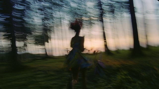 Video Reference: Water, Atmosphere, Plant, People in nature, Flash photography, Branch, Sky, Sunlight, Atmospheric phenomenon, Woody plant