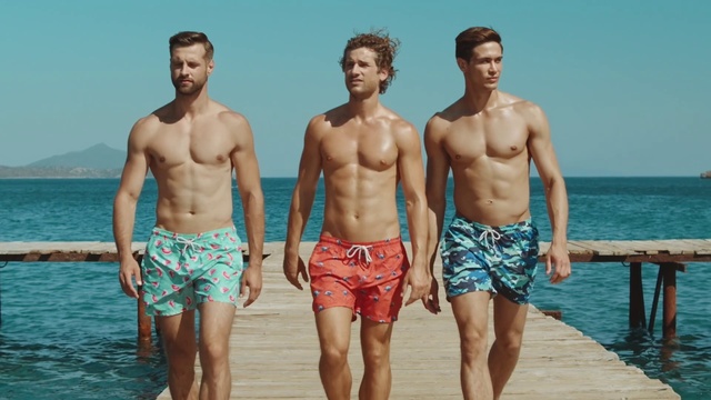 Video Reference: Water, Shorts, Sky, Trunks, People on beach, Muscle, Blue, Bermuda shorts, board short, Swimwear