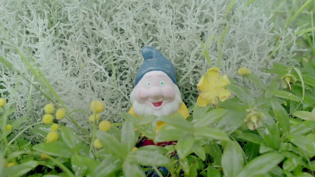 Video Reference: Plant, Garden gnome, Leaf, Flower, People in nature, Grass, Lawn ornament, Terrestrial plant, Groundcover, Toy