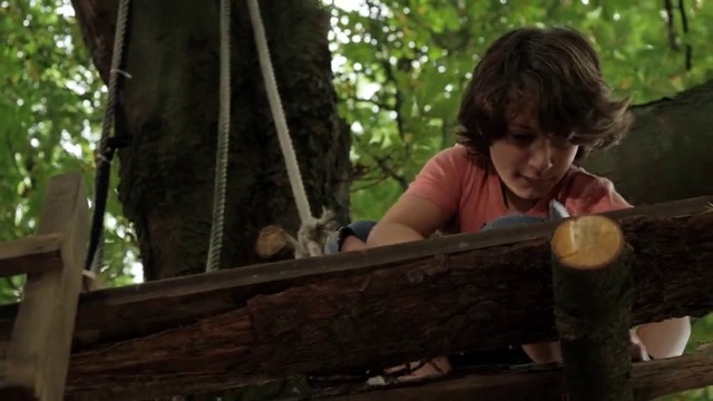 Video Reference: Leaf, Botany, Wood, Tree, Trunk, Grass, Leisure, Forest, Fun, Happy