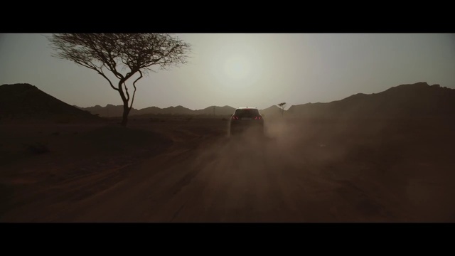 Video Reference: Sky, Atmosphere, Plant community, Ecoregion, Plant, Natural environment, Tree, Natural landscape, Mountain, Dusk