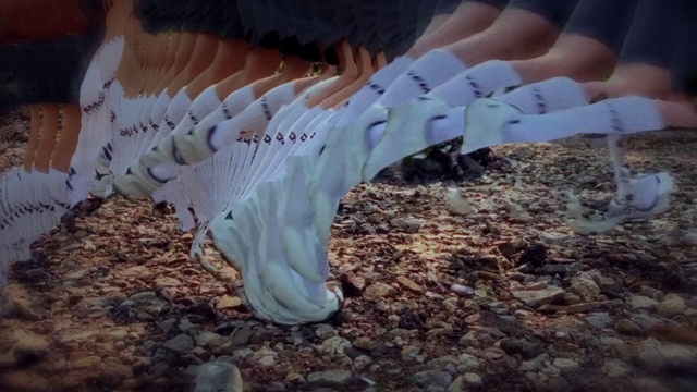 Video Reference: Hand, Leg, People in nature, Human body, Plant, Tree, Thigh, Knee, Barefoot, Grass