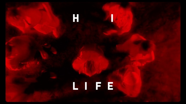 Video Reference: Nature, Human body, Petal, Organism, Font, Red, Heat, Darkness, Heart, Flower