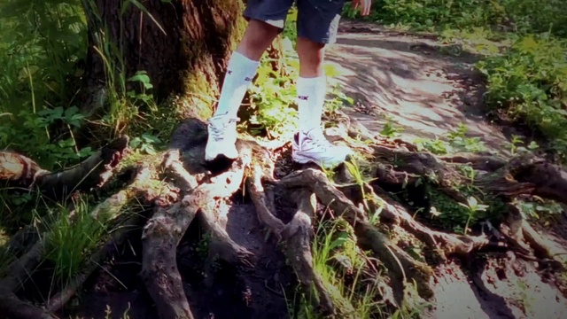 Video Reference: Plant, Plant community, People in nature, Leg, Leaf, Natural environment, Wood, Gesture, Grass, Terrestrial plant