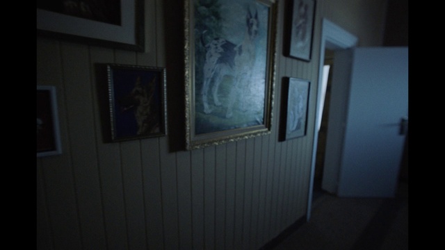 Video Reference: Wood, Picture frame, Flooring, Floor, Hardwood, Tints and shades, Wood stain, House, Art, Paint