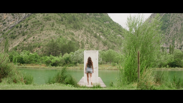 Video Reference: Plant, Dress, Green, People in nature, Natural environment, Flash photography, Tree, Happy, Natural landscape, Wedding dress