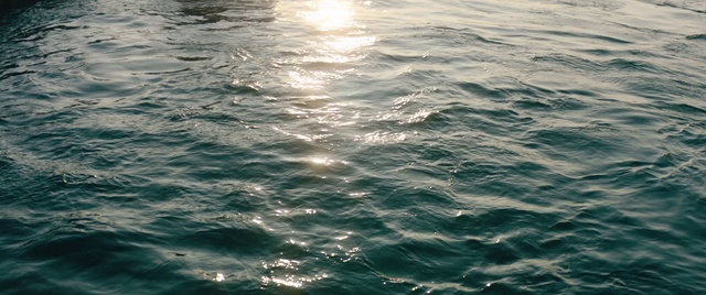 Video Reference: Water, Water resources, Liquid, Vertebrate, Azure, Fluid, Sunlight, Lake, Sky, Wind wave