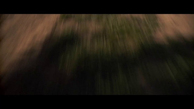 Video Reference: Hair, Wood, Sky, Tree, Flooring, Natural landscape, Twig, Trunk, Grass, Landscape