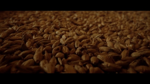 Video Reference: Food, Plant, Seed, Ingredient, Cuisine, Natural foods, Agriculture, Wood, Superfood, Staple food
