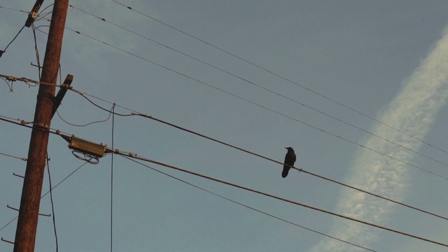 Video Reference: Sky, Bird, Electricity, Overhead power line, Cloud, Parallel, Cable, Electrical supply, Electronic device, Wire