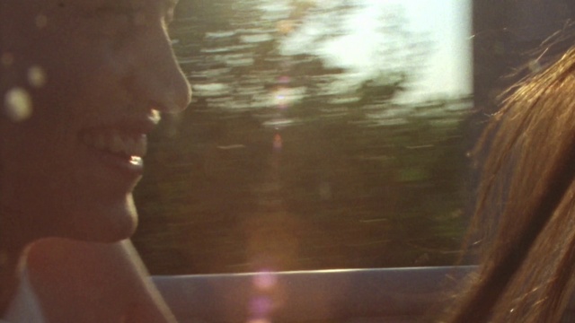 Video Reference: Eyebrow, Mouth, Window, Wood, Plant, Atmospheric phenomenon, Morning, Eyewear, Tints and shades, Tree