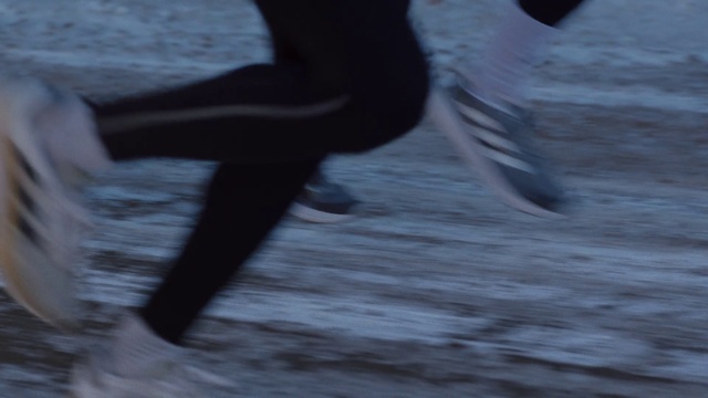 Video Reference: Bird, Water, Beak, Feather, Waterfowl, Ducks, geese and swans, Wing, Knee, Seabird, Tail