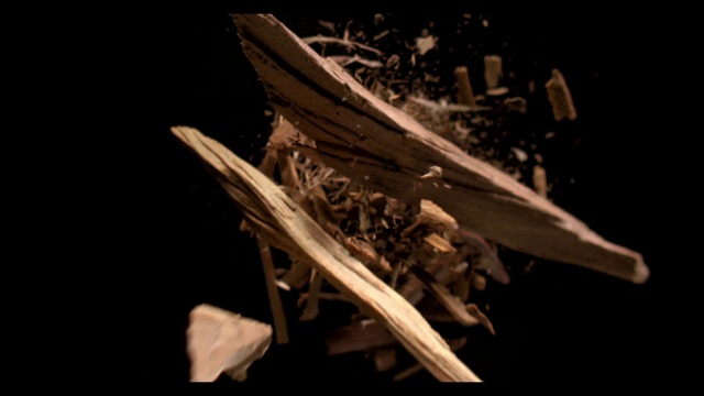 Video Reference: Wood, Automotive design, Event, Art, Terrestrial plant, Plant, Darkness, Automotive exterior, Monochrome photography, Metal