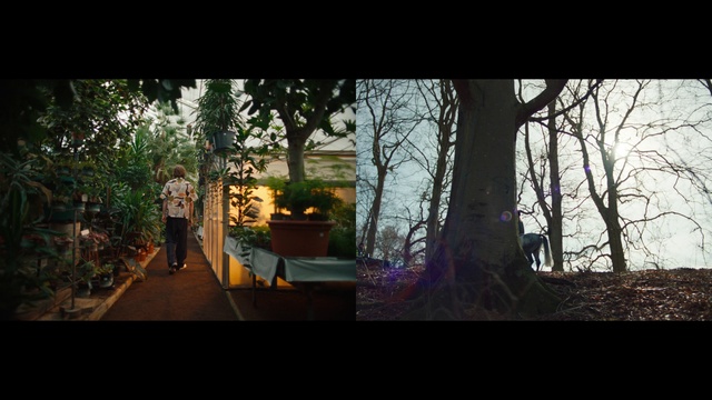 Video Reference: Plant, Tree, Grass, Wood, Tints and shades, Natural landscape, Trunk, Landscape, Forest, City