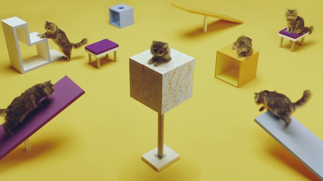 Video Reference: Product, Art, Wood, Houseplant, Toy, Space, Visual arts, Room, Plant, Display case