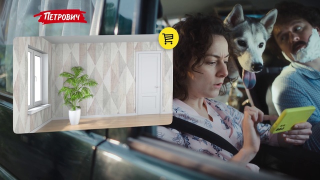 Video Reference: Dog, Plant, Flowerpot, Houseplant, Travel, Leisure, Event, Companion dog, Fun, Fur