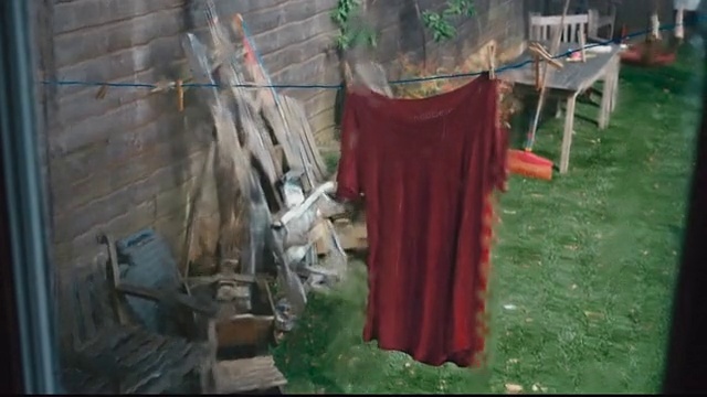 Video Reference: Plant, Wood, Chair, Tablecloth, Grass, Event, Linens, Table, Flooring, Leisure