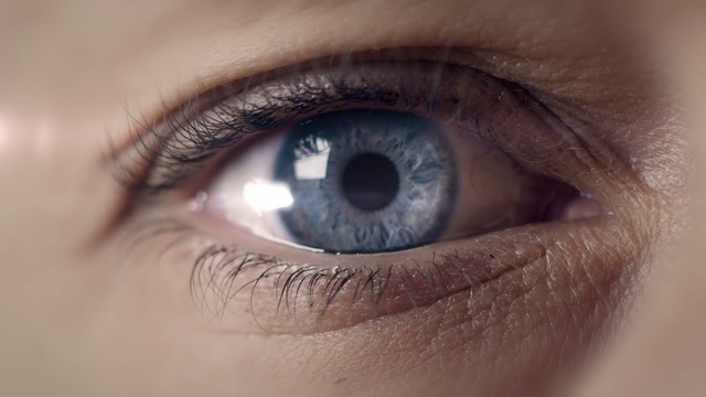 Video Reference: Hair, Brown, Head, Eyebrow, Eye, Eyelash, Human body, Iris, Tints and shades, Electric blue