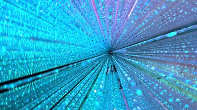 Video Reference: Water, Blue, Terrestrial plant, Symmetry, Electric blue, Pattern, Close-up, Circle, Macro photography, Glass